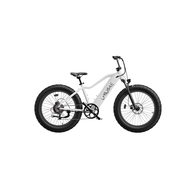 Pendolarismo cittadino per mountain bike elettrica Fat Tire da 26 pollici LB-DS01