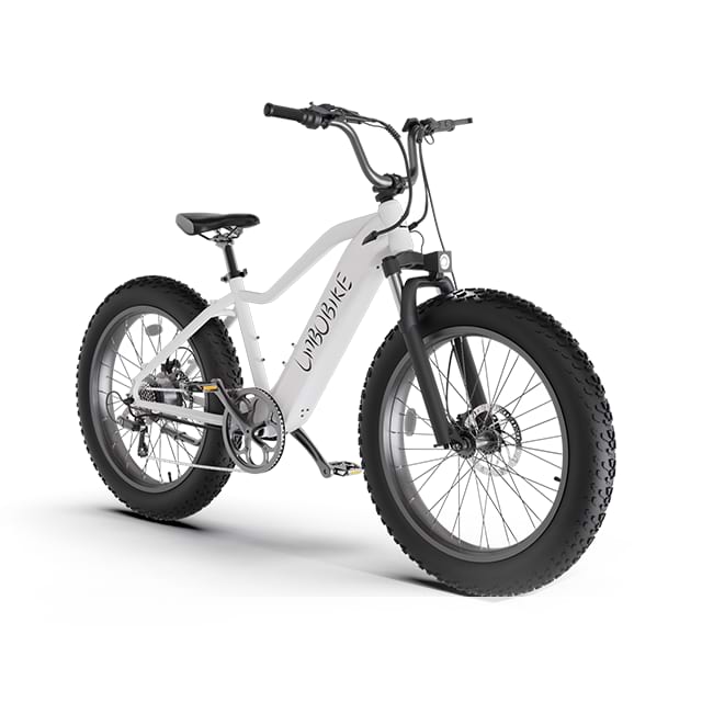 Pendolarismo cittadino per mountain bike elettrica Fat Tire da 26 pollici LB-DS01