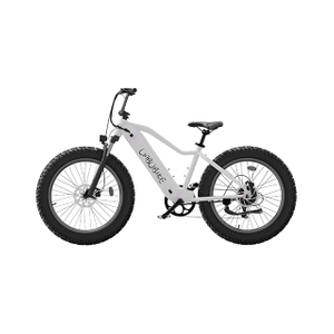 Pendolarismo cittadino per mountain bike elettrica Fat Tire da 26 pollici LB-DS01