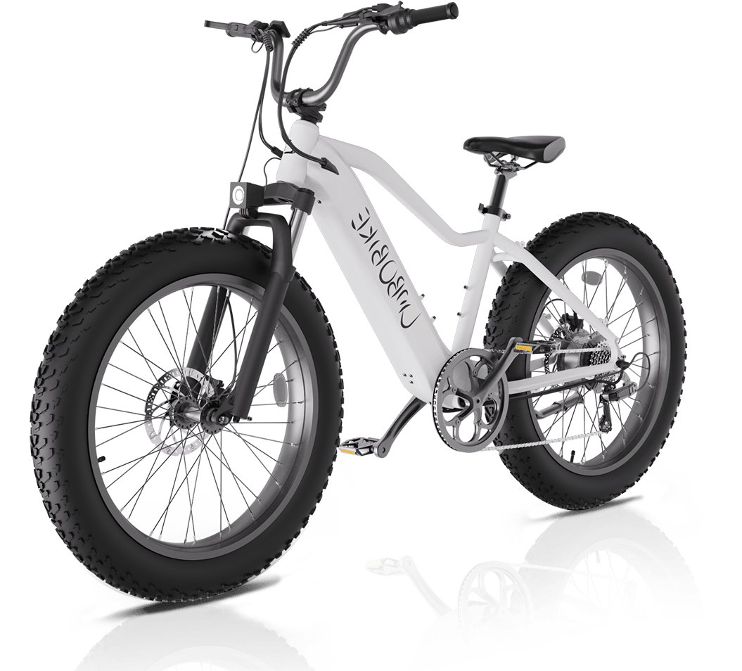 Immagine promozionale che spiega \'Perché scegliere Linbo Bikes?\'evidenziando i vantaggi e le caratteristiche unici delle bici elettriche di Linbo Transportation Tech.